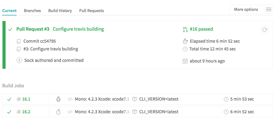 Successful builds on Travis