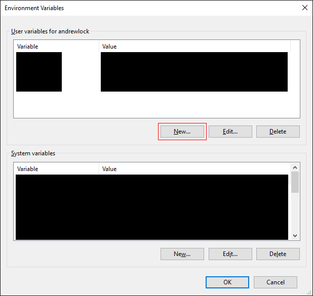 Environment variables window