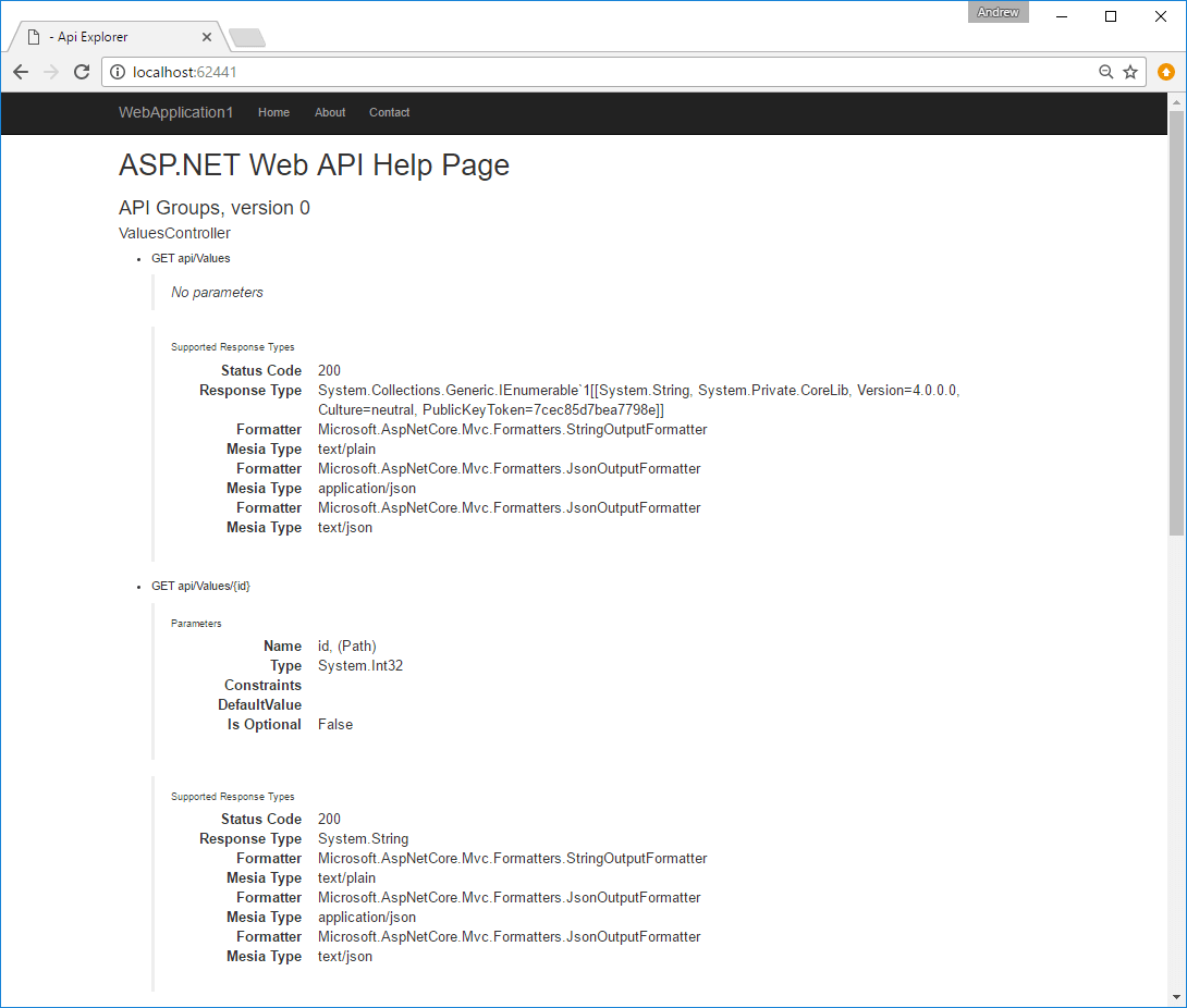 Basic Web API project