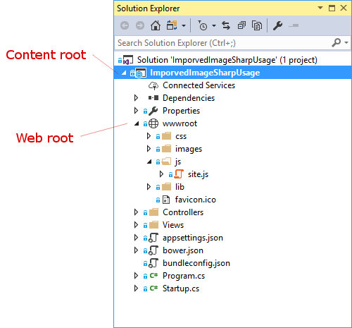 Content root vs web root