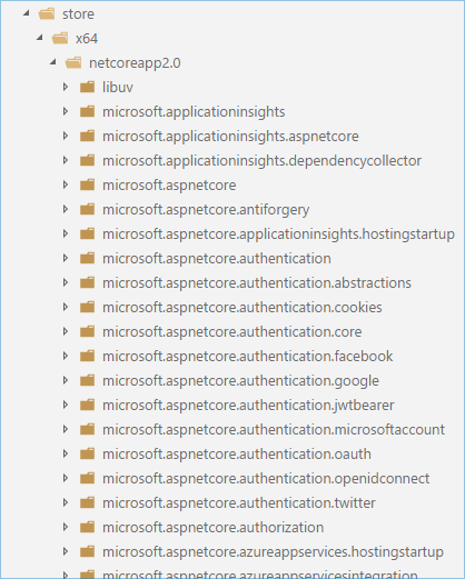 The runtime store