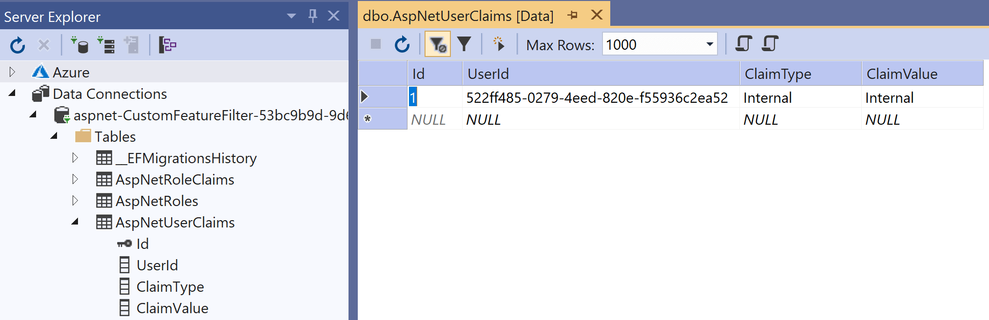 Adding the Internal claim to the user