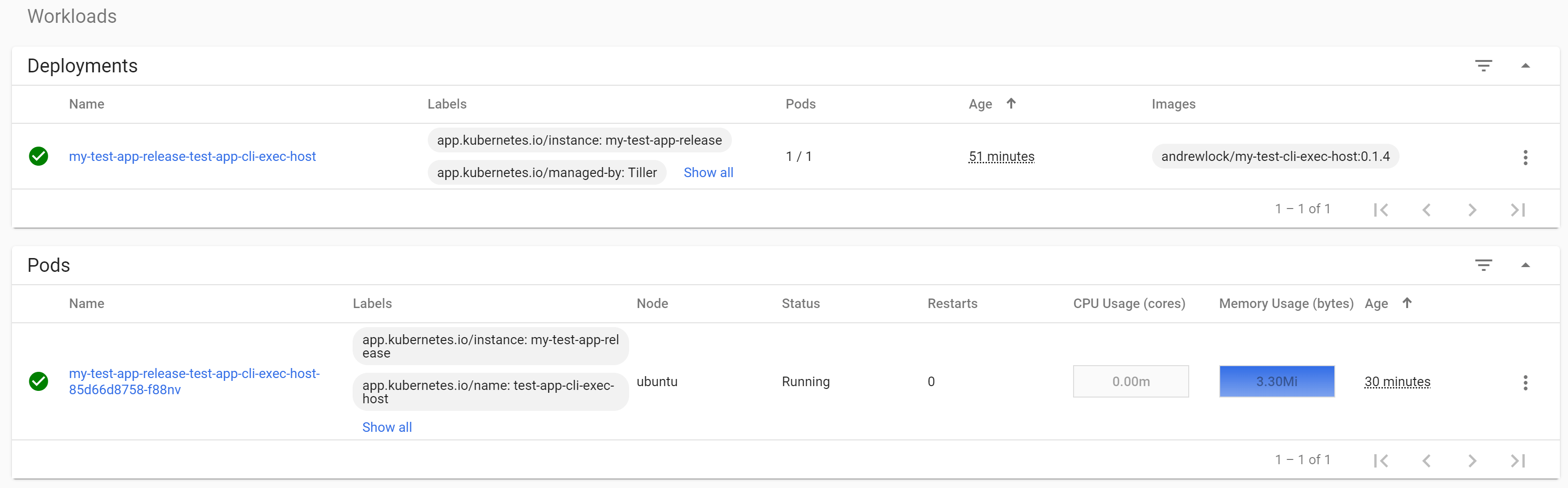 Image of the exec-host deployment and pod not doing anything