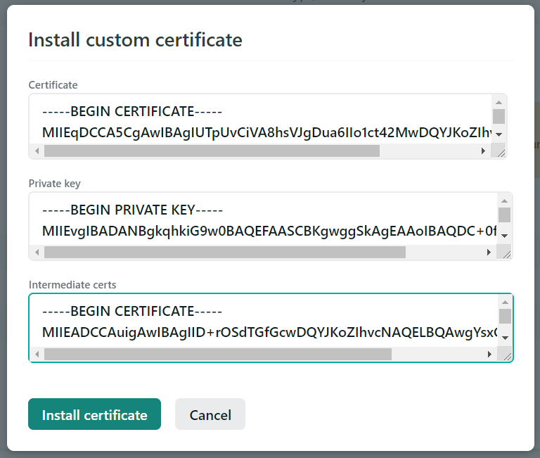 Adding the certificate values to Netlify
