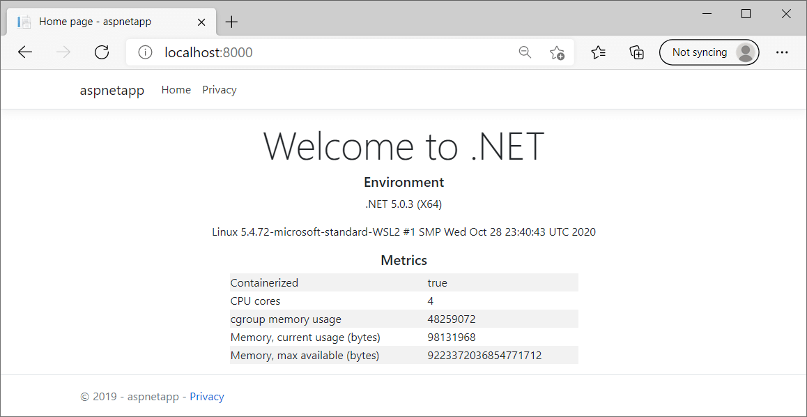 Running the Linux app on Windows