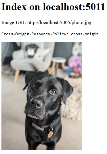 Without the CORP header, the image loads in cross-origin scenarios