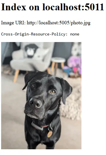 Without the CORP header, the image loads in cross-origin scenarios