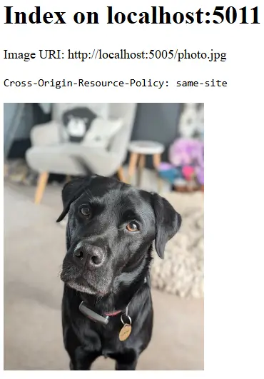 Without a same-site CORP header, the image is not blocked in same-site scenarios