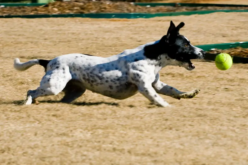 Banner image for Understanding the Fetch Metadata HTTP headers: Sec-Fetch-Site and friends